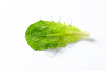 single romaine lettuce leaves on white background