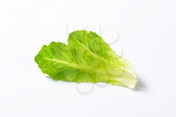 two leaves of romaine lettuce on white background