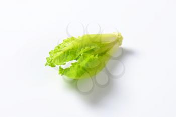 heart of romaine lettuce on white background