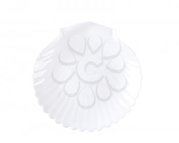 small shell-shaped plate isolated on white
