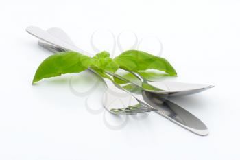 knife, fork and spoon and fresh basil leaves