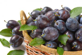 Fresh picked damson plums in small decorative basket