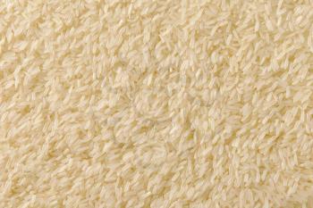 Full  frame of grains of uncooked white jasmine rice