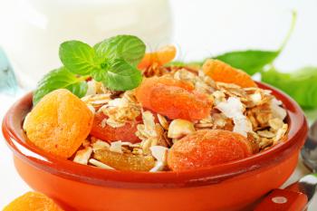 Bowl of rolled oats with various dried fruit pieces and nuts