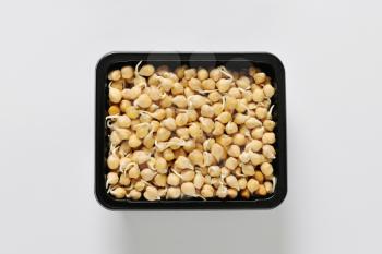 Sprouted chickpeas black plastic food container