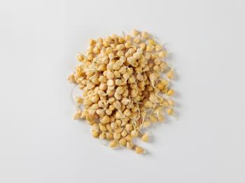 Heap of sprouted chick peas