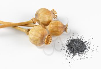 three dried poppy seed pods and ripe poppy seeds