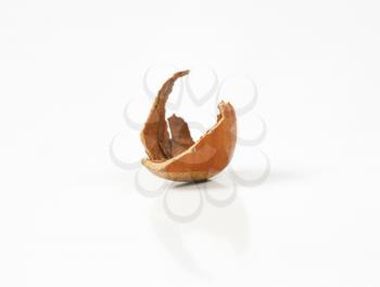 empty hazelnut shell on white background