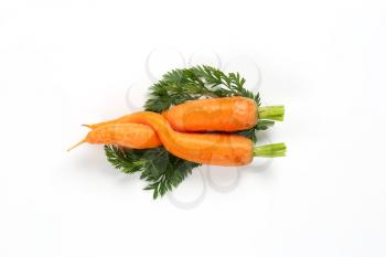 two twisted carrots with leaves on white background