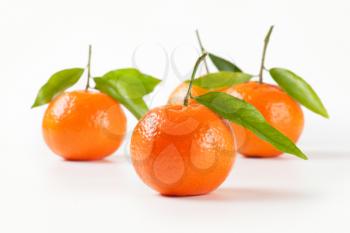 mandarin oranges with leaves on white background