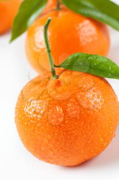 close up of washed tangerines with leaves