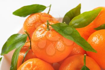 close up of mandarin oranges