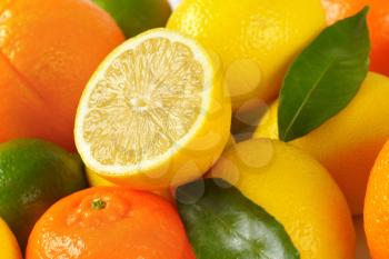 heap of fresh citrus fruit - close up