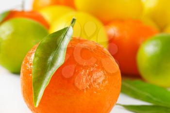 detail of fresh tangerine with leaf