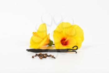 hibiscus flowers and spices on white background