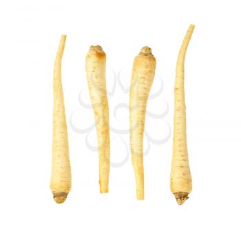 fresh parsley roots on white background