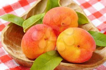 bowl of ripe apricots with leaves on checkered tablecloth