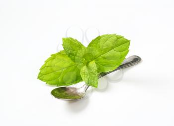 leaves of lemon balm and teaspoon on white background
