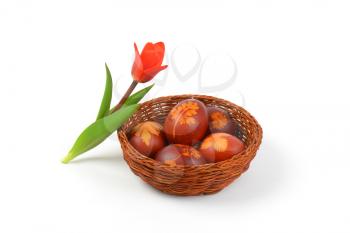 basket of Easter eggs decorated with fresh leaves and boiled in onion peels and tulip on white background
