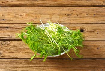 bowl of green pea sprouts on wooden background