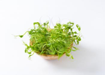 bowl of green pea sprouts on white background