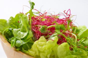 detail of green salad with pea and beetroot sprouts in wooden bowl