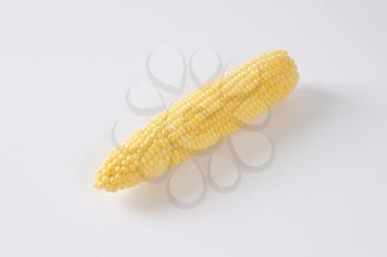 ripe corn cob on off-white background with shadows