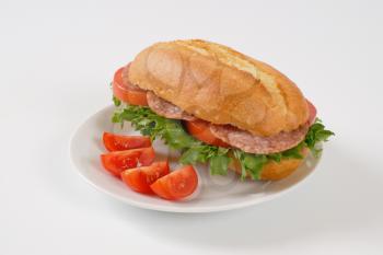 crusty roll sandwich with salami on white plate