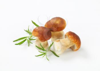 fresh porcini mushrooms and rosemary on white background