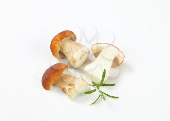 fresh porcini mushrooms and rosemary on white background