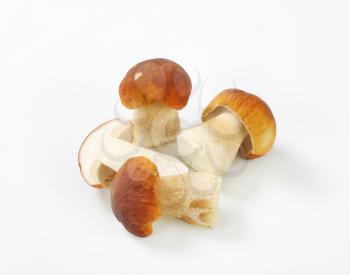 three and half boletus mushrooms on white background