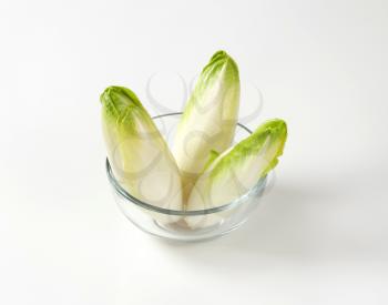 three fresh Belgian endive heads (Witloof chicory) in glass bowl
