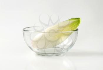 fresh Belgian endive head (Witloof chicory) in glass bowl
