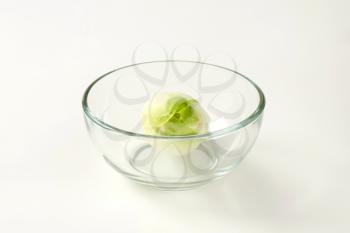 fresh Belgian endive head (Witloof chicory) in glass bowl