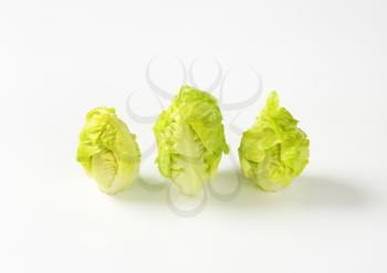 three fresh little gem lettuce heads