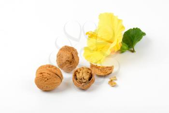 walnuts and hibiscus flower on white background