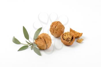 walnuts and sprig of fresh sage on white background