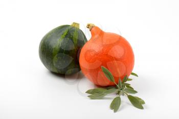orange and green pumpkins with sprig of sage on white background