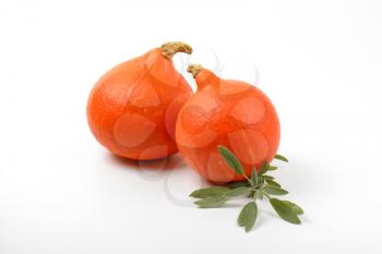 two orange pumpkins and sprig of sage on white background