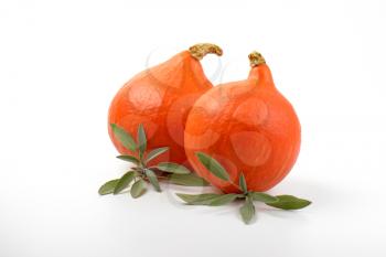 two orange pumpkins and sprigs of sage on white background