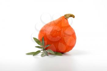 orange pumpkin and sprig of sage on white background