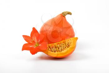 orange pumpkins and hibiscus flower on white background