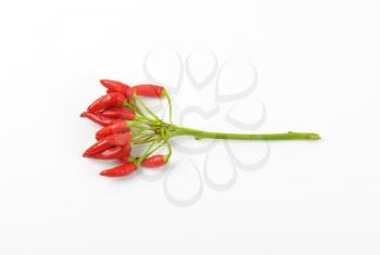 Bunch of fresh red chili peppers on white background