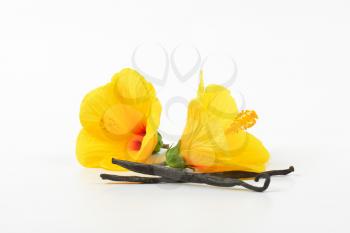 hibiscus flowers and vanilla pods on white background