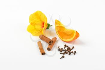 hibiscus, orange, cinnamon and cloves on white background