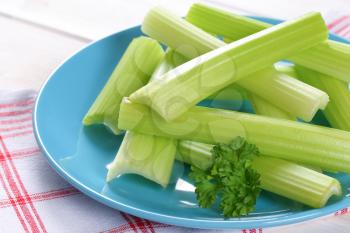 plate of green celery stems on checkered dishtowel - close up