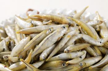 Detail of a heap of fresh anchovies