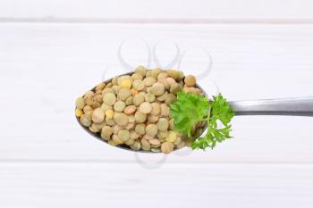spoon of dry brown lentils on white wooden background