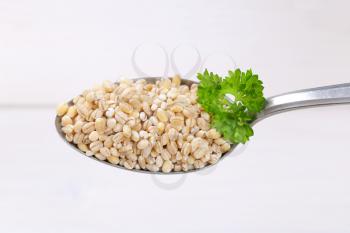 spoon of pearl barley on white wooden background