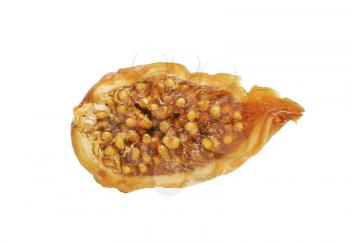 half a dried fig on white background